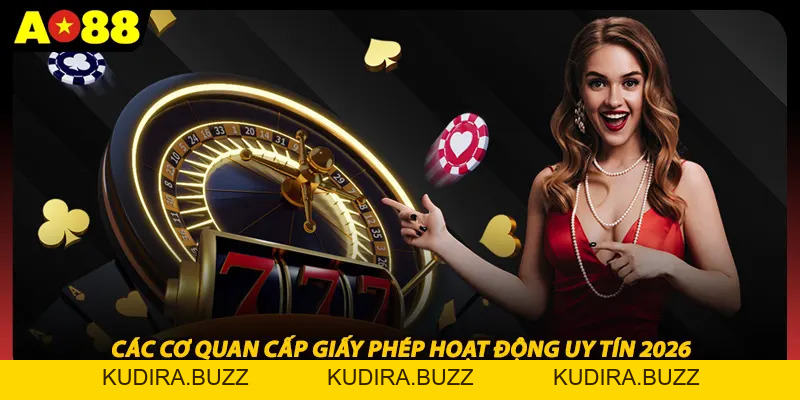 Giấy Phép Hoạt Động Ao88 - Minh Chứng Sự Uy Tín 2026 - Kudira