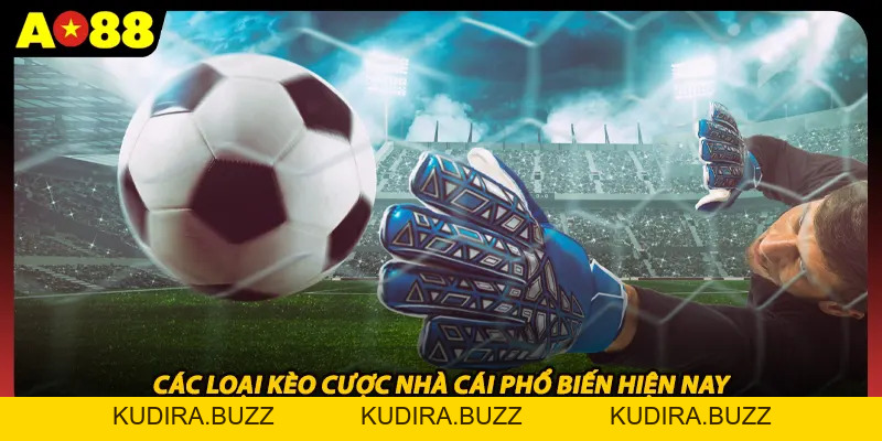 Kèo Cược Nhà Cái - Hướng Dẫn Soi Và Đọc Vị Chuẩn Xác - Kudira
