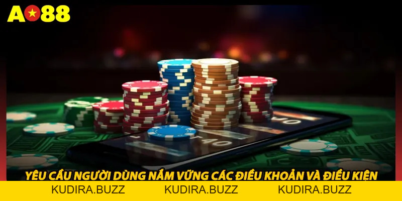 Điều Khoản, Điều Kiện - Cam Kết Bạn Cùng Nhà Cái AO88 - Kudira